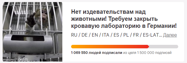 Новый год без Путина. Сколько россиян не хотят слышать поздравление Президента