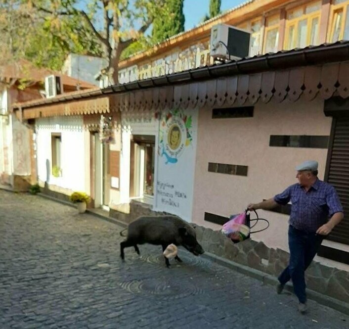 Старый год никак не хочет сдавать свои права