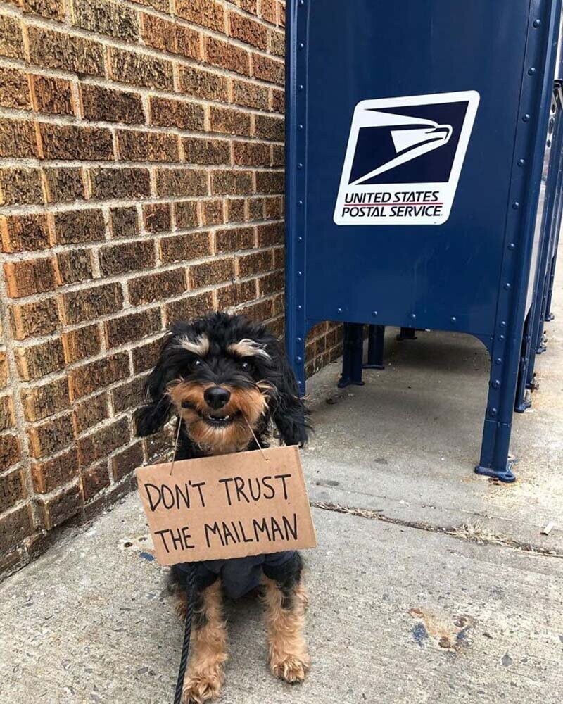 «Не доверяйте почтальону»