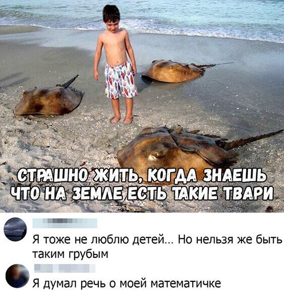 Прикольные и смешные картинки