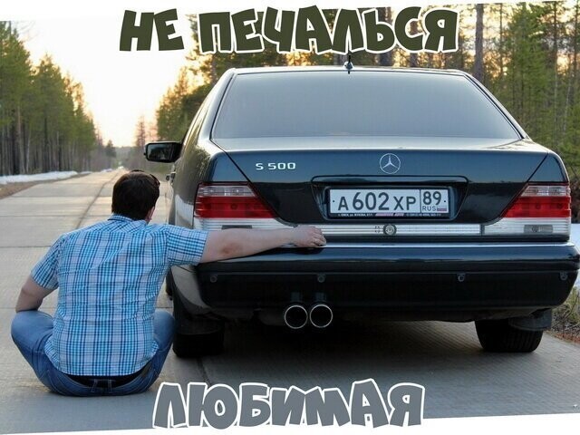 Автовсячина