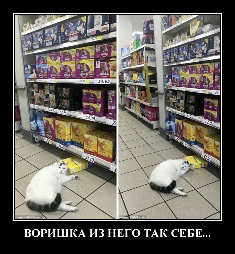 Демотиваторы