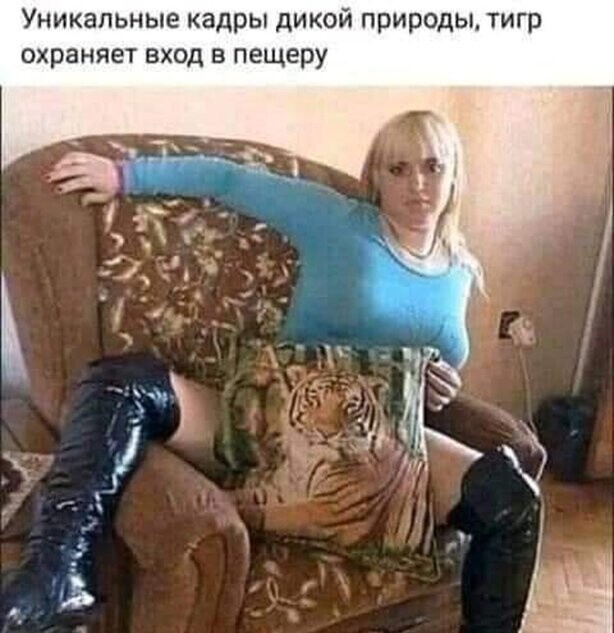 Прикольные и смешные картинки