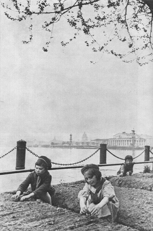 Дети блокадного Ленинграда у грядок Мытнинской набережной. 1942 год.