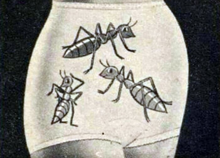 Изобретатели этих трусов с изображениями муравьев по каким то причинам были уверены, что такое белье способно отпугивать мужчин.