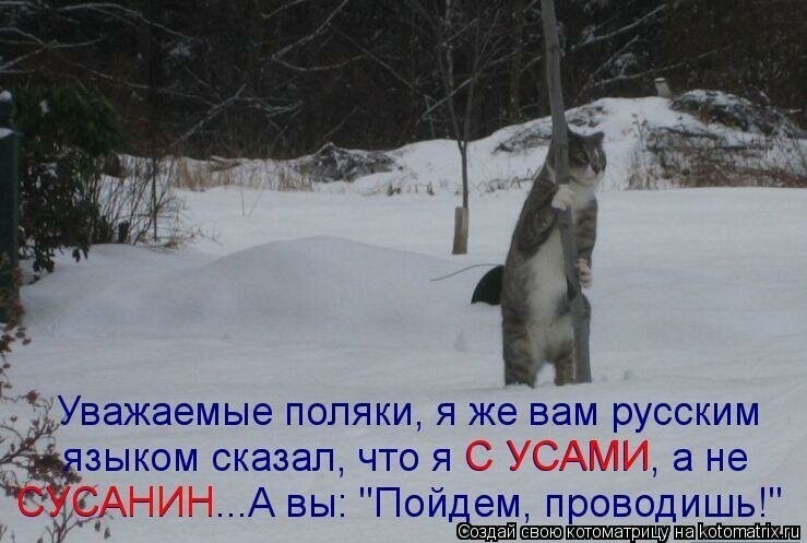 Польша и Иван Сусанин , карикатуры