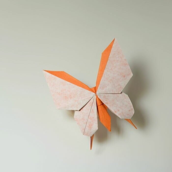 Новый уровень творчества: оригами из влажной бумаги