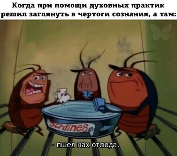 Прикольные и смешные картинки