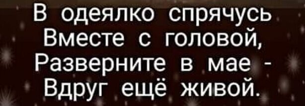 Прикольные и смешные картинки от Димон за 08 января 2020 10:22