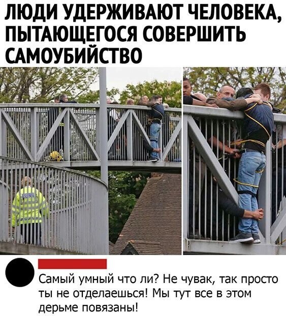 Прикольные и смешные картинки