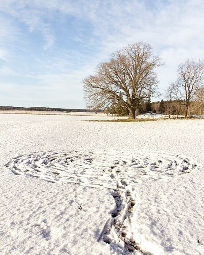 Снежная живопись экологической активистки