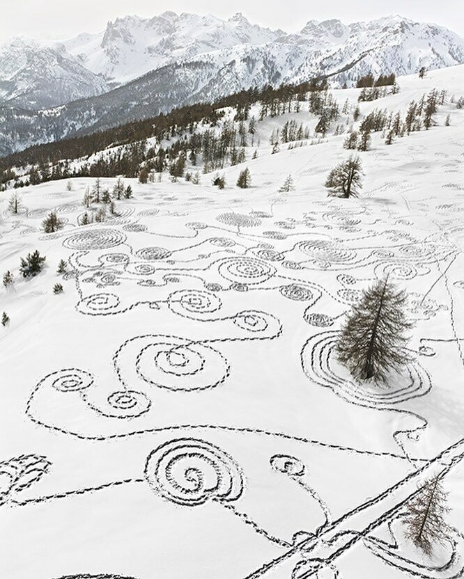 Снежная живопись экологической активистки