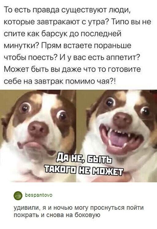 Прикольные и смешные картинки