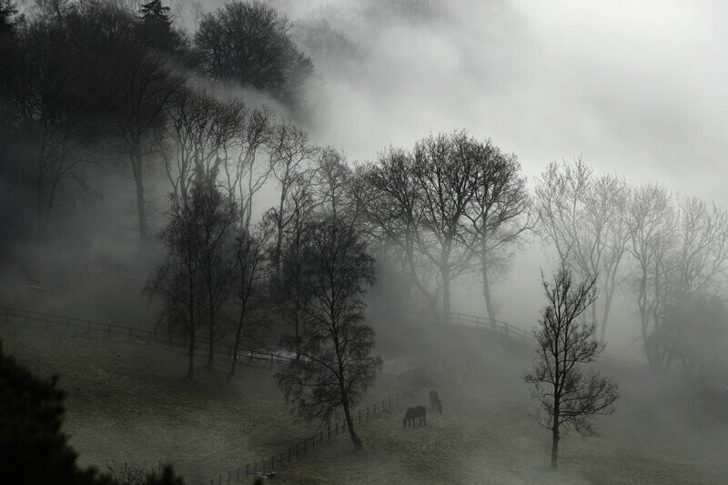 Природа тумана