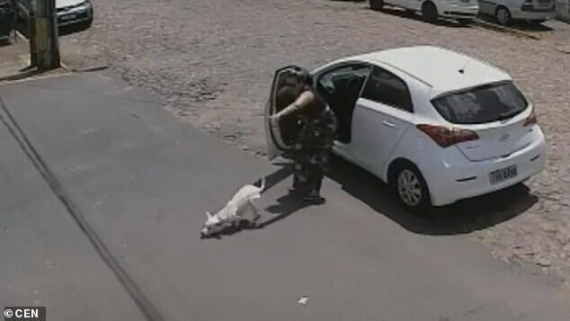 Видео: хозяйка покалеченной собаки решила от нее избавиться