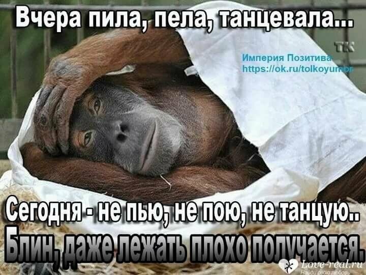 Человек с похмелья