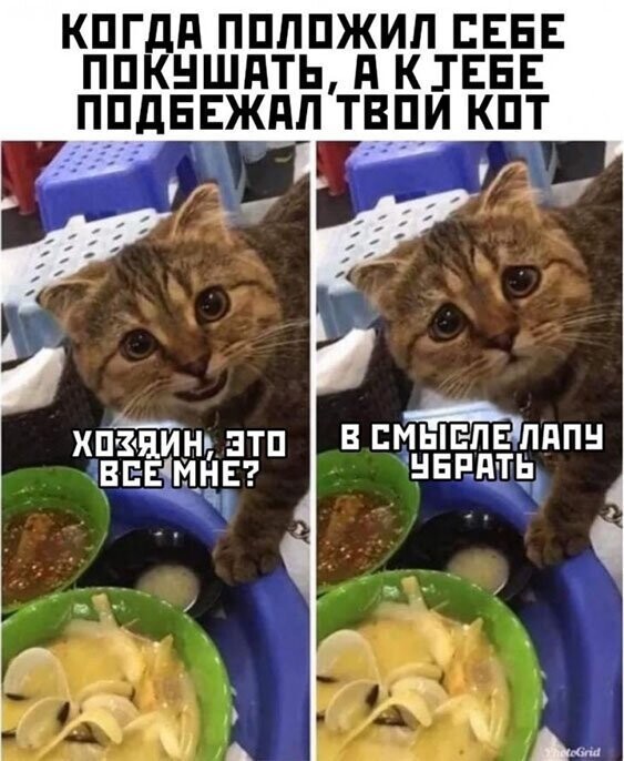 Прикольные и смешные картинки