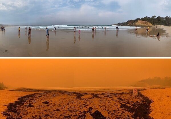 2. Татра-бич, Новый Южный Уэльс. Чёрная грязь на нижнем фото — угольки и пепел, нанесённые морем после пожаров.