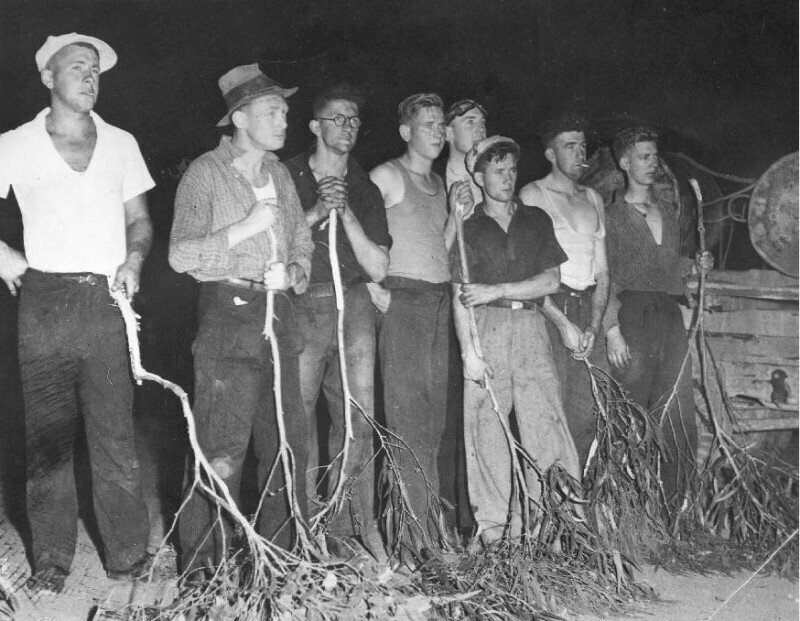 Добровольная дружина по тушению лесных пожаров в «Черную пятницу», 13 января 1939 года, Австралия