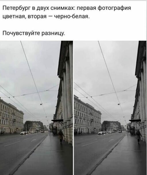 Прикольные и смешные картинки