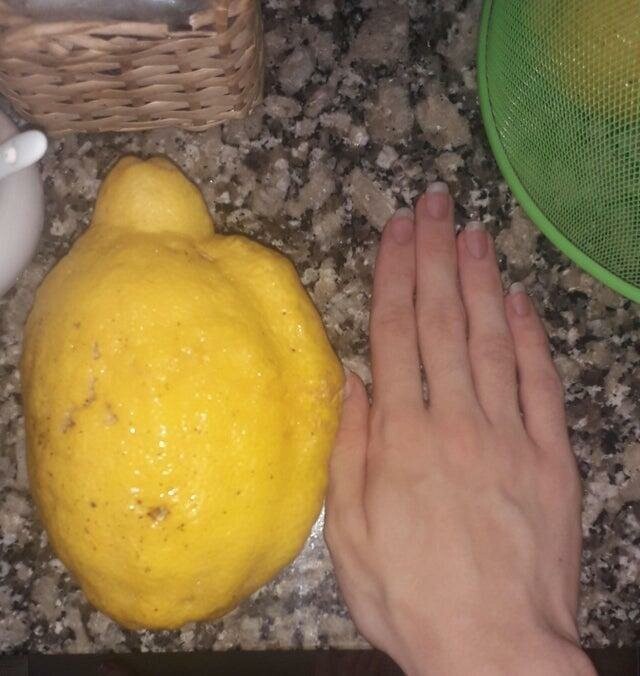 "Мой дедушка вырастил гигантский лимон"