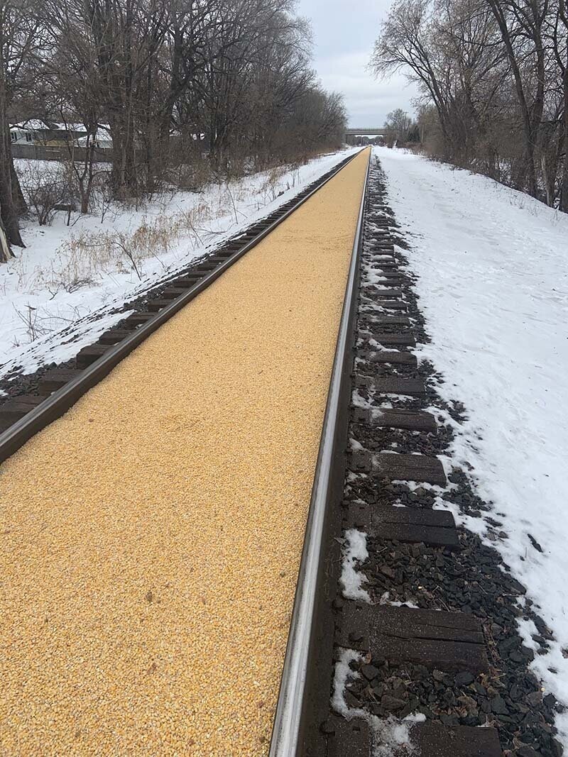 Из поезда перевозившего зерно кукурузы, высыпалось содержимое