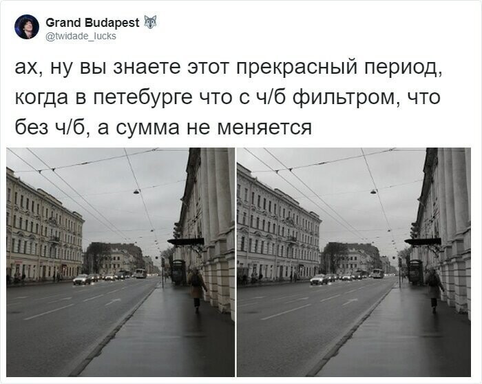 Пользовательница Твиттера сравнила цветное и чёрно-белое фото Санкт-Петербурга
