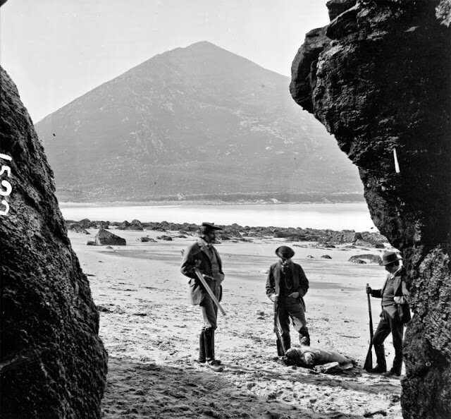 Трое мужчин с добычей - тюленем, графство Мейо, 1870