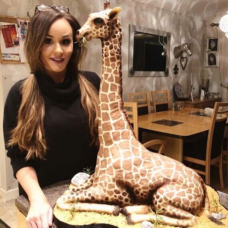 Невероятные 3D-торты в виде животных