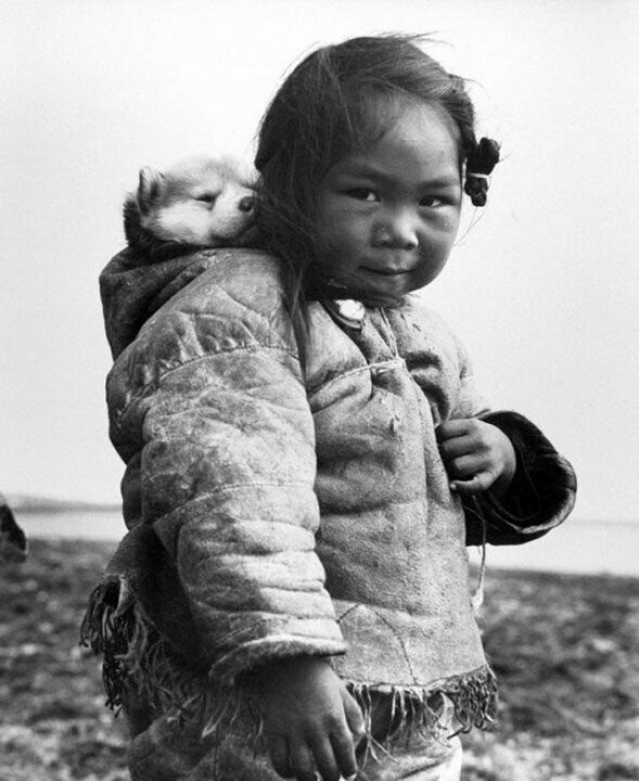 Маленькая эскимоска и ее хаски, 1949 г.