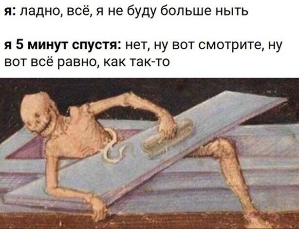 Прикольные и смешные картинки