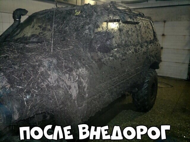 Автовсячина