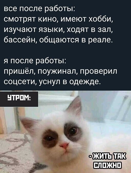 Прикольные и смешные картинки