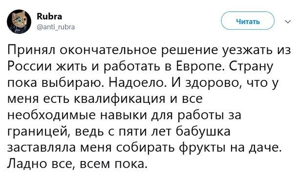 Прикольные и смешные картинки