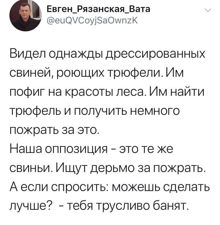 Политические картинки