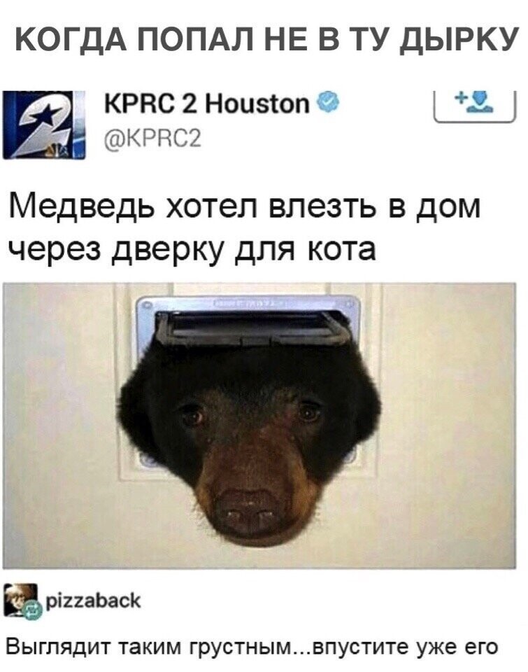 Смешные комментарии и картинки из соцсетей