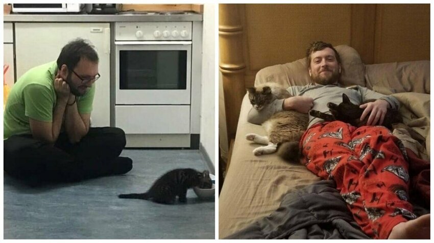 Я буду в квартире хозяином. Мужик котик. Парень ест кота. Кот отец. Хозяева мемы.