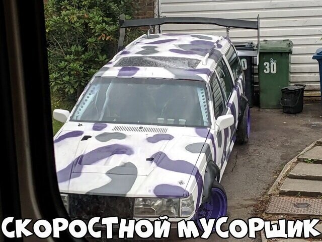 Автовсячина