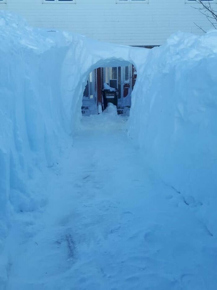 24. "Снег достаточно глубокий, если в нем можно прорыть туннель ко входной двери"