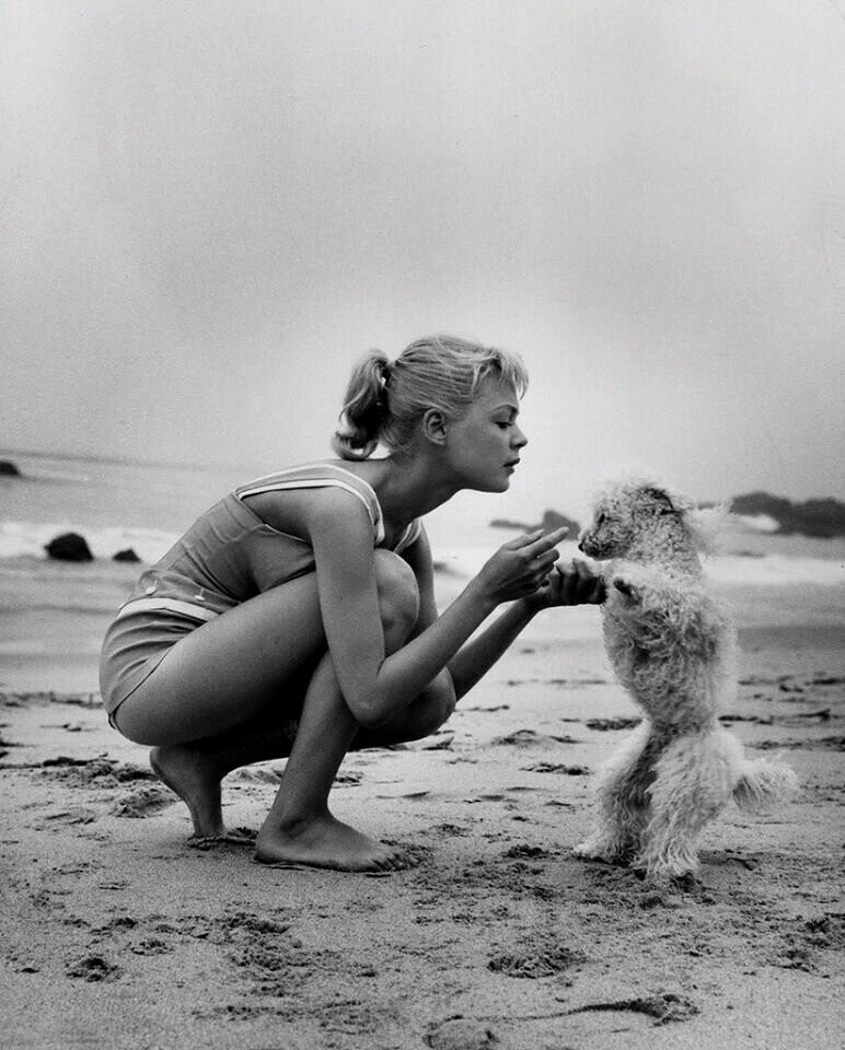 Сандры Ди играет с пуделем на пляже в 1959 году. 