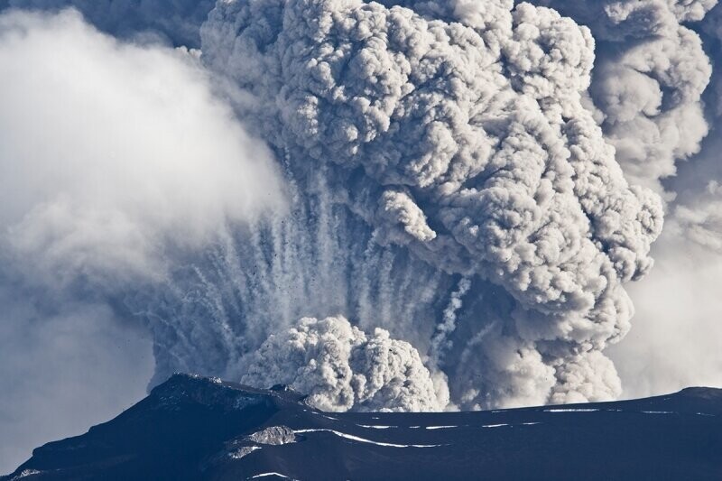 Однако примерно 183 млн лет назад произошло массовое извержение вулканов, из-за чего в атмосфере сильно возросло количество углекислого газа. 