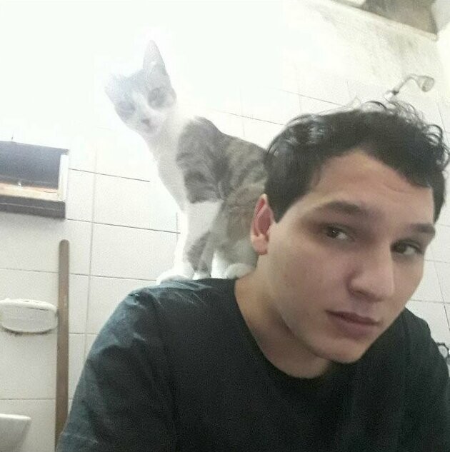 26. "Моя кошка любит провести со мной сеанс психоанализа, когда я сижу в туалете"