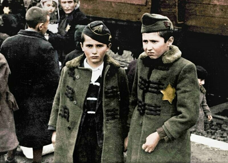 Братья Лили — Израиль и Зелиг. Они погибли в Аушвице сразу же по прибытии, вместе с родителями и еще тремя братьями.