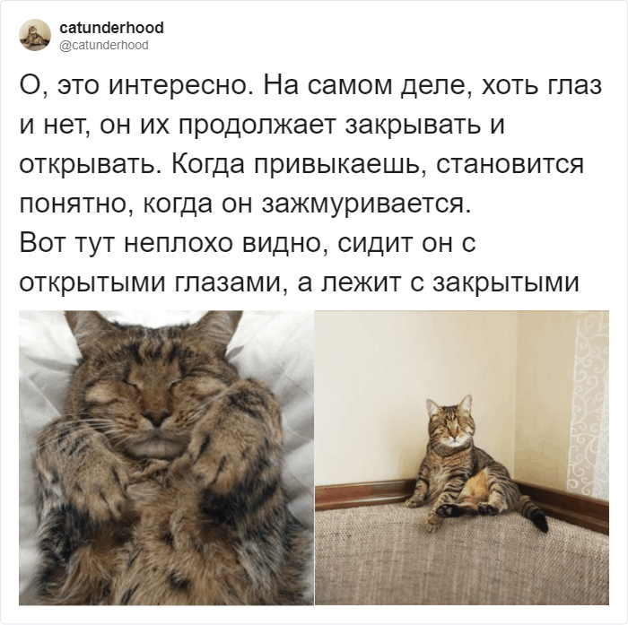 Любопытный факт