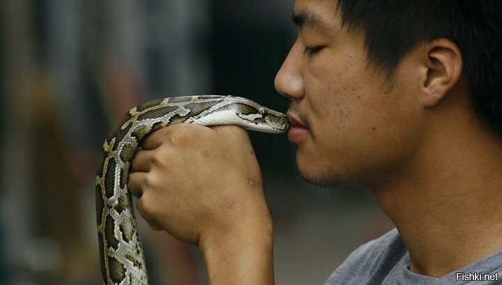 Сын змеи и летучей мыши: ученые узнали все о страшном 2019-nCoV