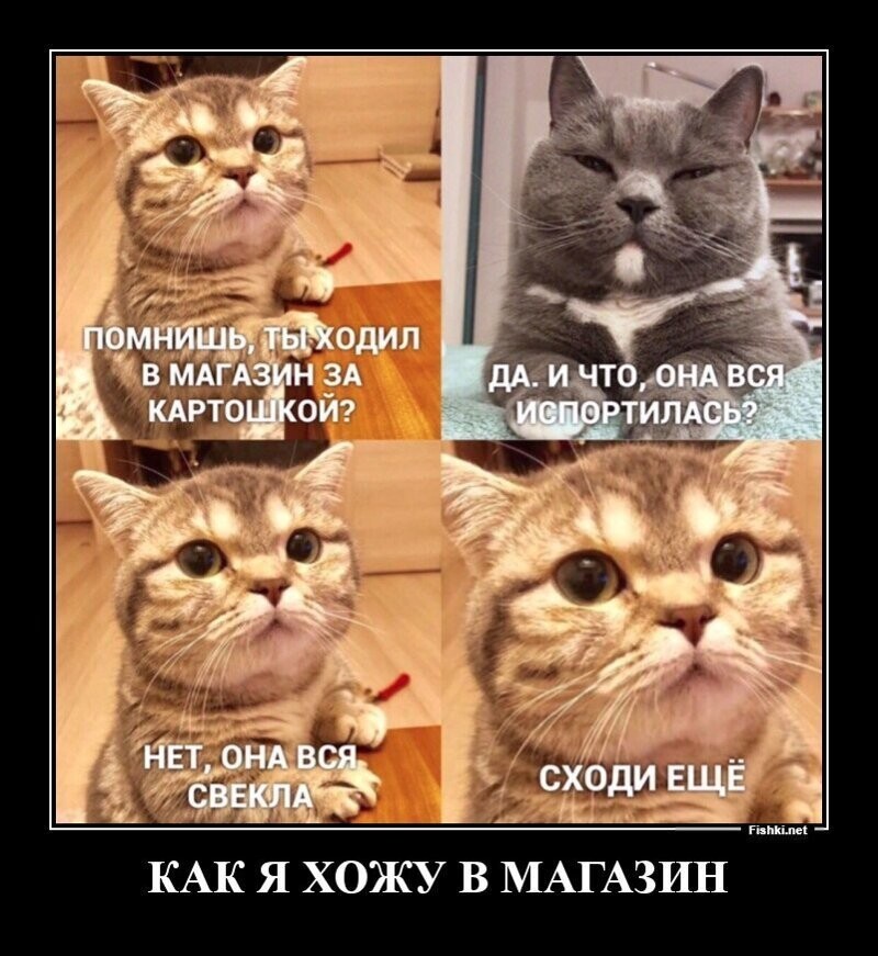 Пятничные демотиваторы