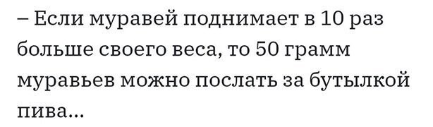 Алкопост на вечер этой пятницы от Димон за 24 января 2020