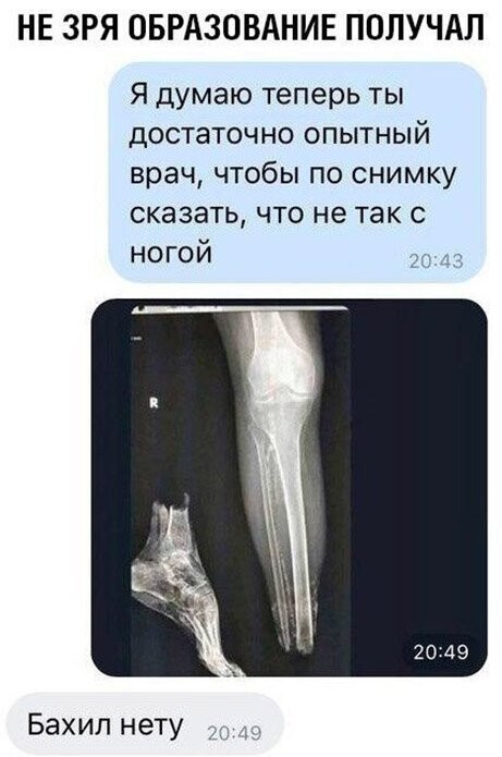 Прикольные и смешные картинки