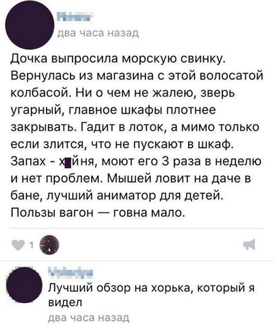 Прикольные и смешные картинки