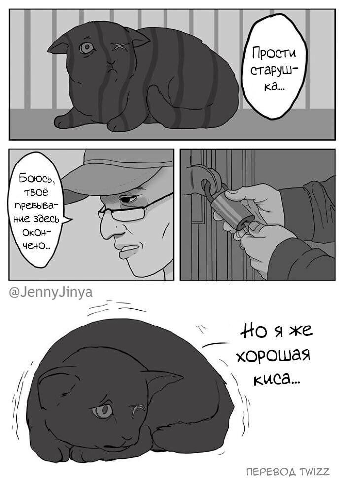 Добрый комикс: Суеверия о чёрных кошках
